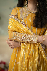 QALAMKAR | DILNAZ WEDDING FORMAL' 23 | KANZA DN-04